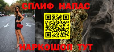 гидра Ачхой-Мартан