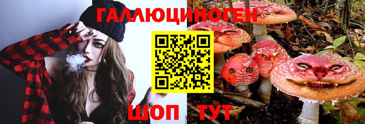 МЕТАДОН Батайск
