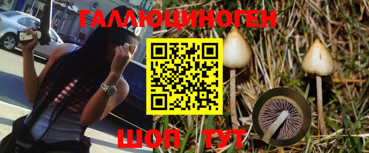 Галлюциногенные грибы Cubensis Батайск